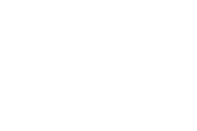 Logo Ultimate Pool France